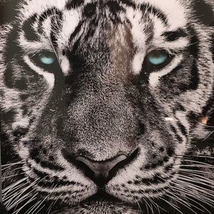 Meet your Posher, Sam